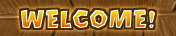 Welcome to the official StoneLoops! website!
